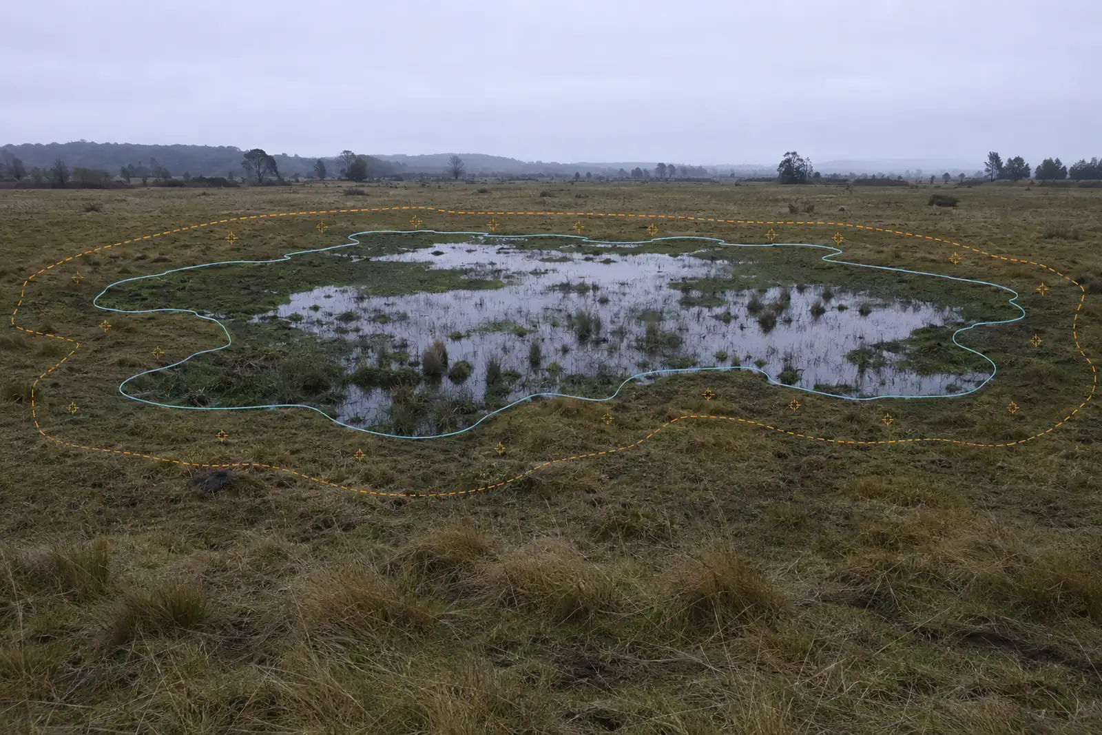 Terreno bajo de pastizal en invierno con paños de agua someros y vegetación palustre, con la delimitación del humedal trazada en línea continua y, más afuera, la zona de amortiguación en línea segmentada